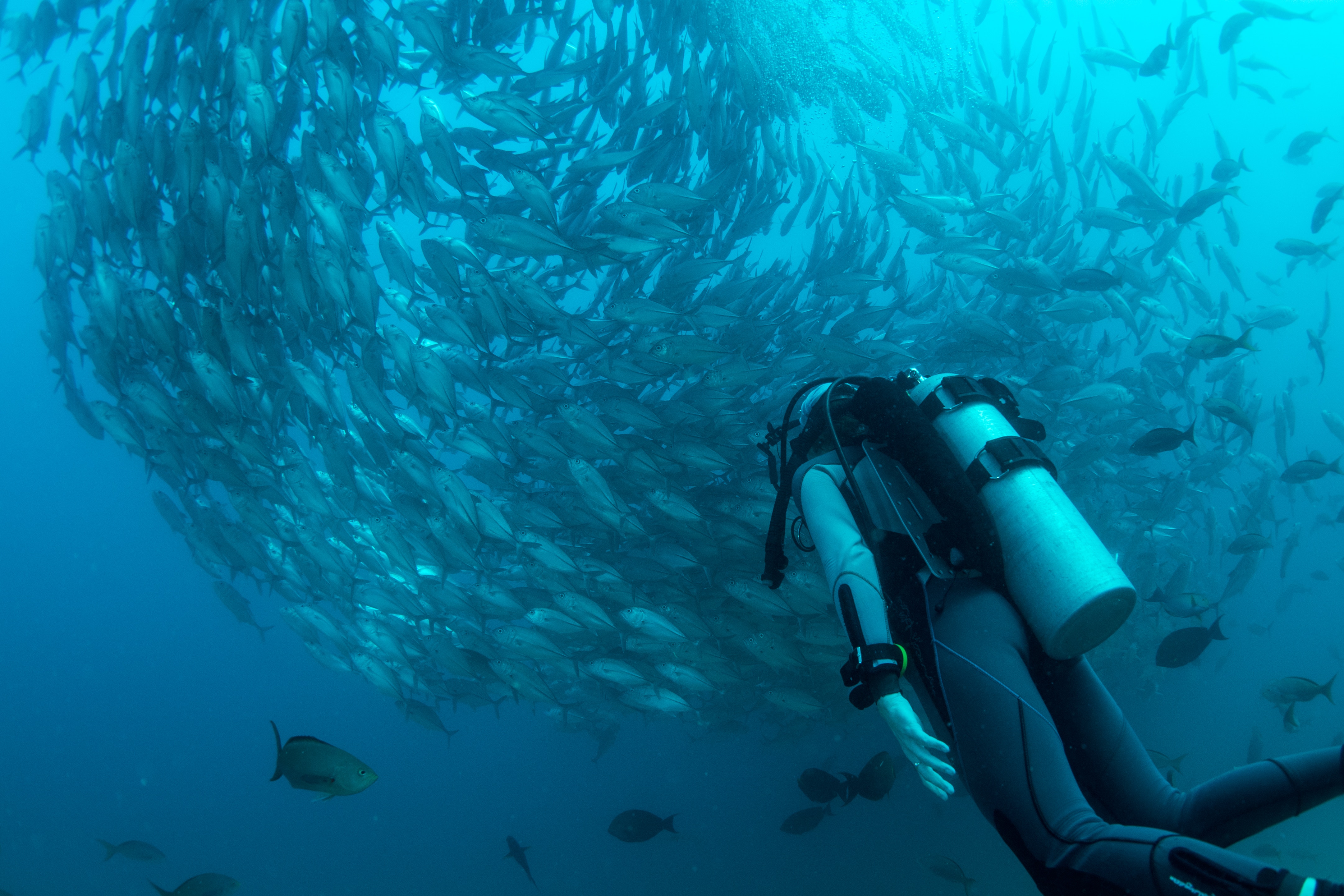 Master Scuba Diver Trainer